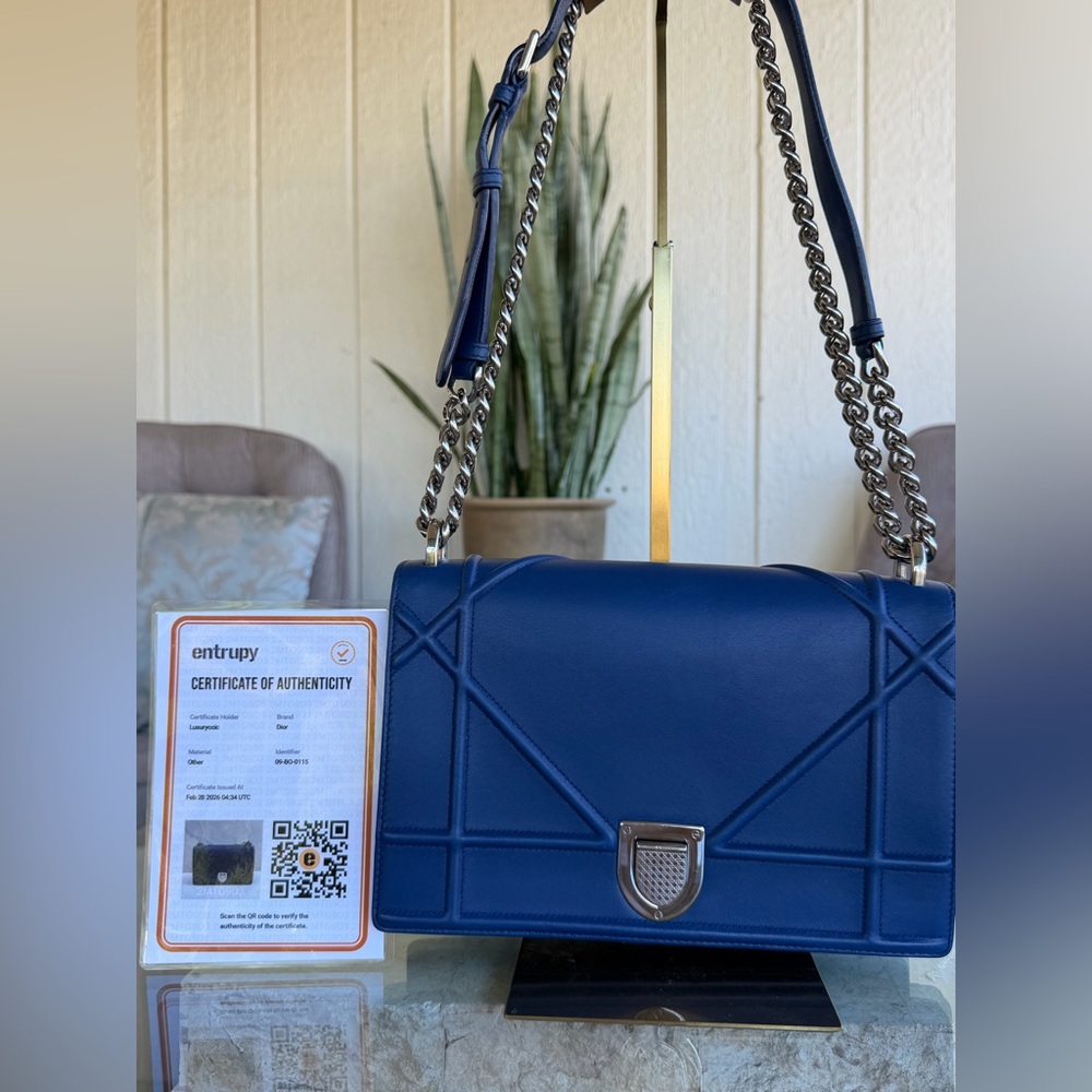 Christian Dior Diorama Crossbody Bag AUCTION HOUSE DISPLAY ONLY COA READY